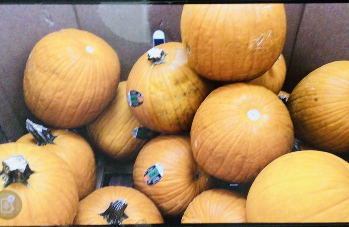 Pumpkins are a popular fruit used for decorating in the fall. You can carve them, paint them and even bake them to eat! 