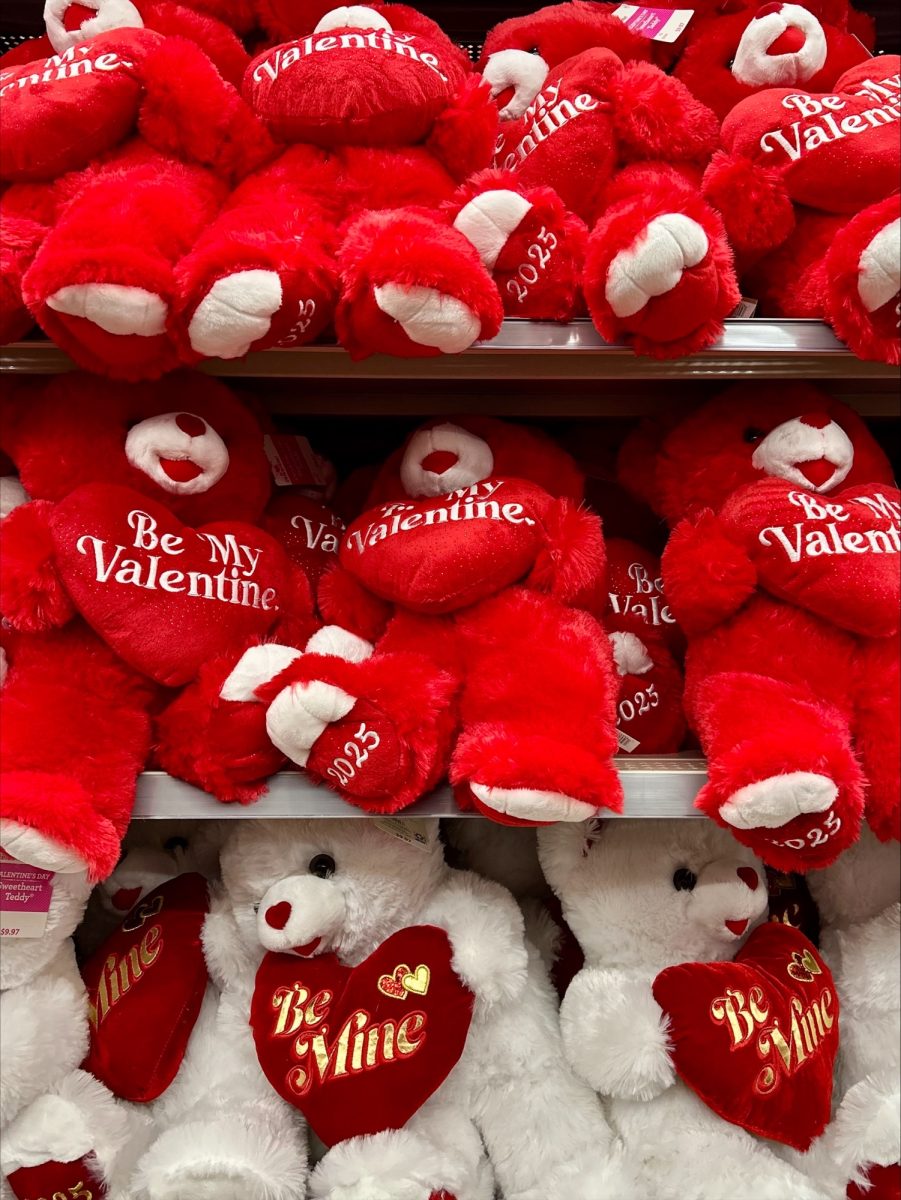 Bears are just one of the items filling the shelves this Valentine's Day.