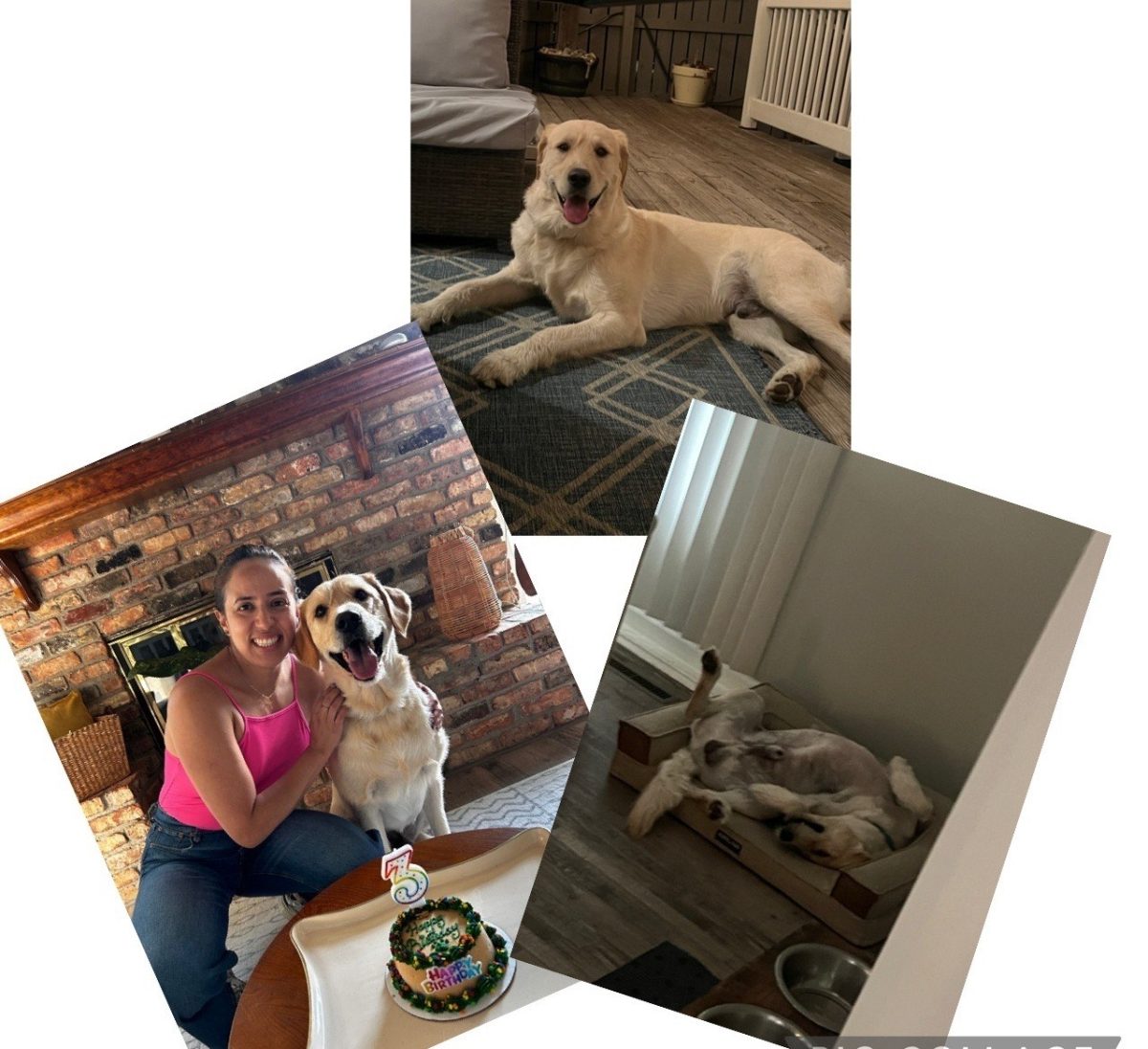 It's your Packer Pet of the Week - Enzzo!