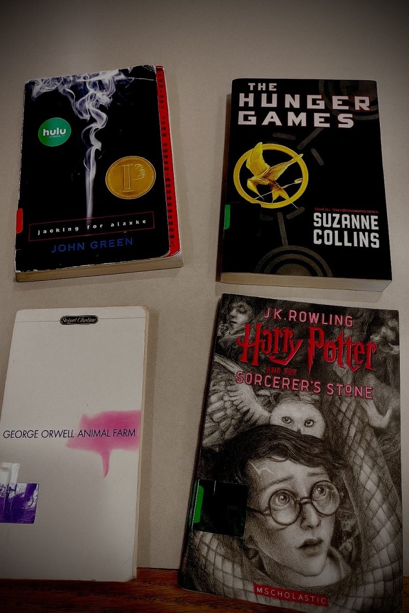 Although banned in other places, above are some banned books you can find in the library at Omaha South.