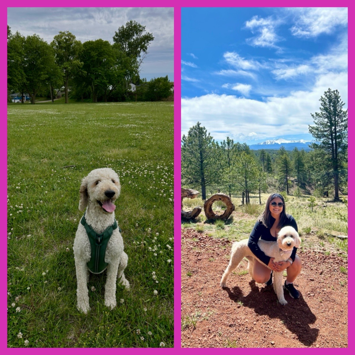 It's YOUR Packer Pet of the Week!