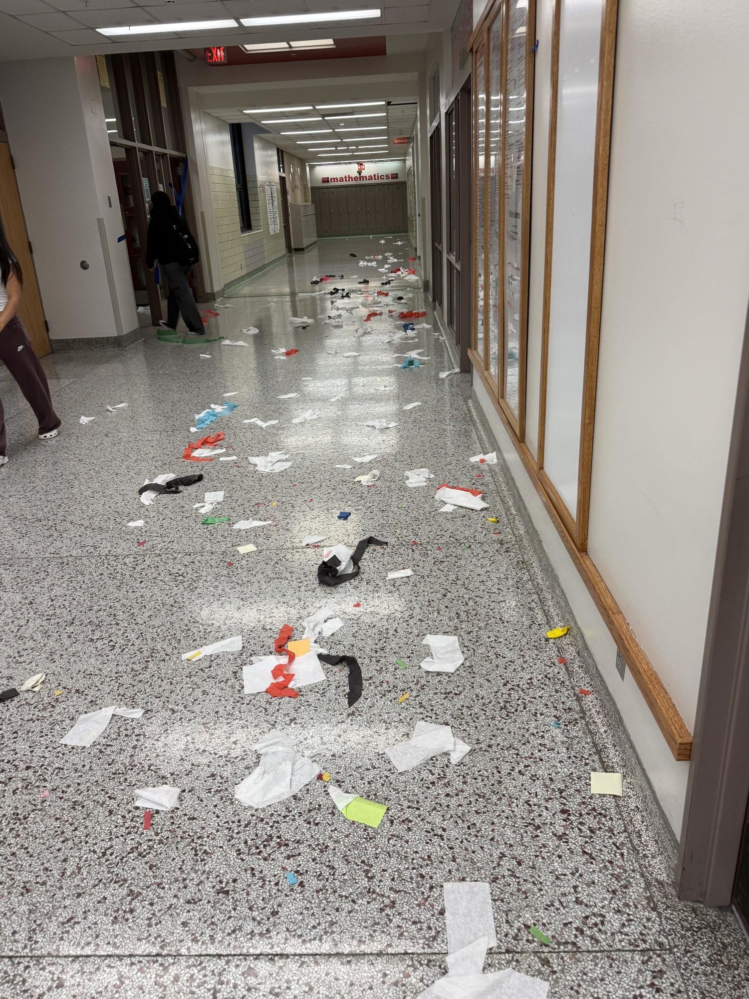 Confetti, canines and a chicken, oh my!