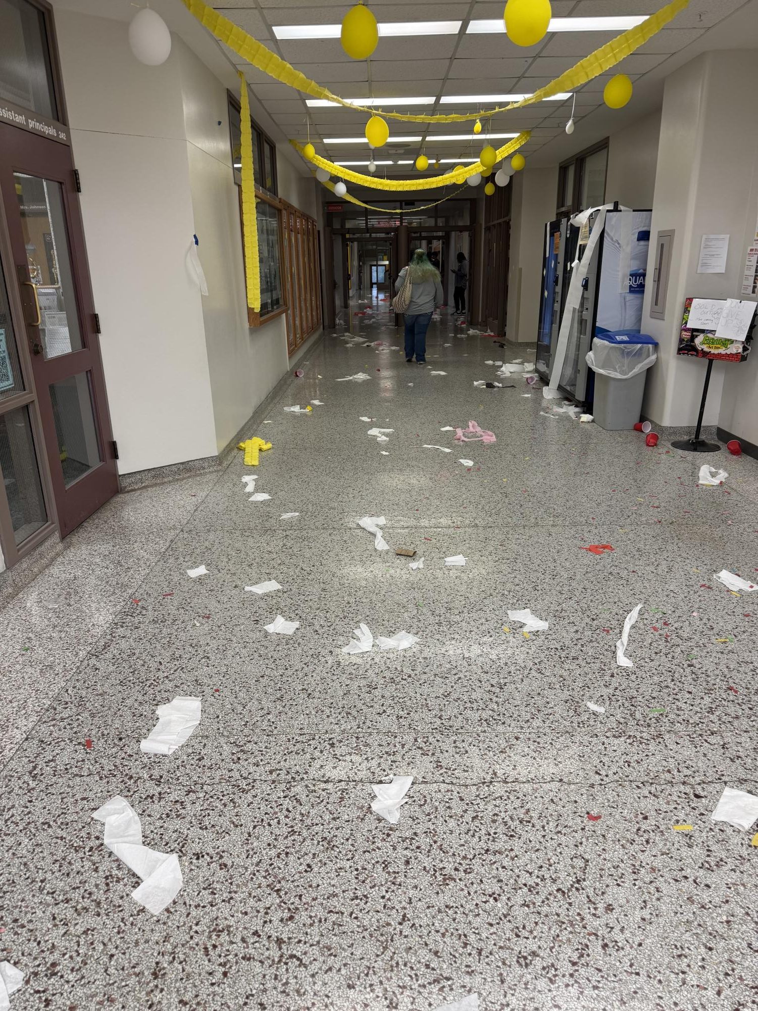 Confetti, canines and a chicken, oh my!